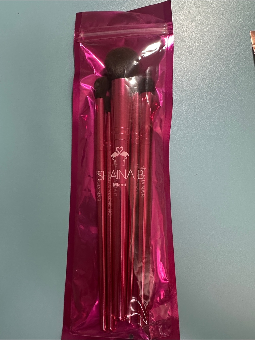 Shaina B. Miami B. Fab 5-Piece Brush Set